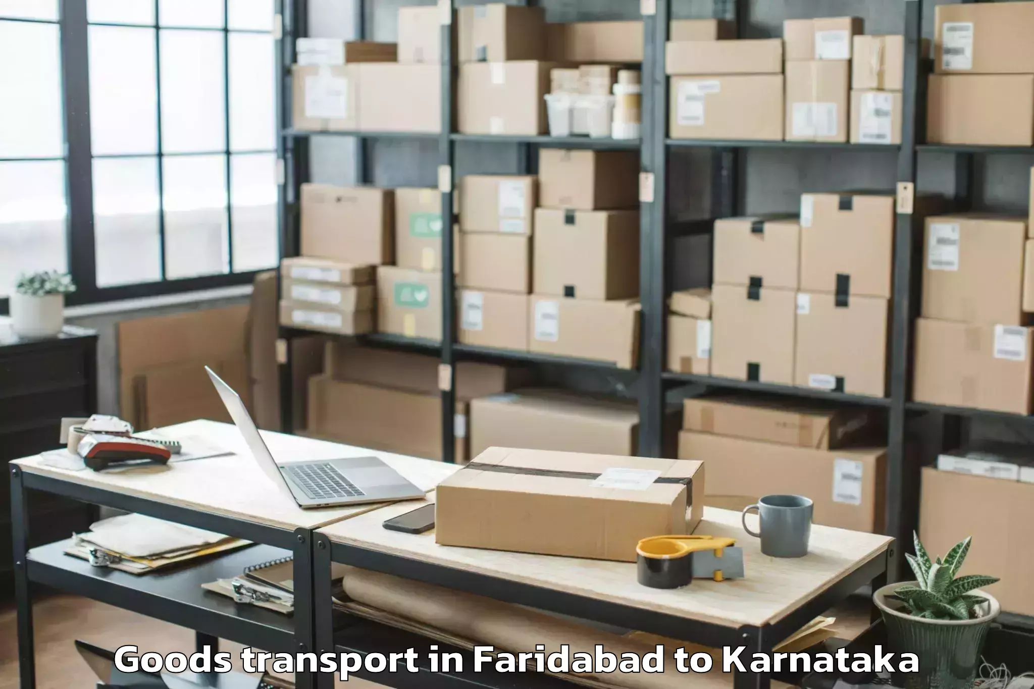 Professional Faridabad to Guledagudda Goods Transport